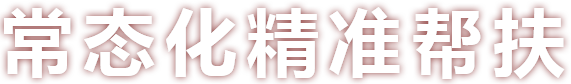 常态化精准帮扶